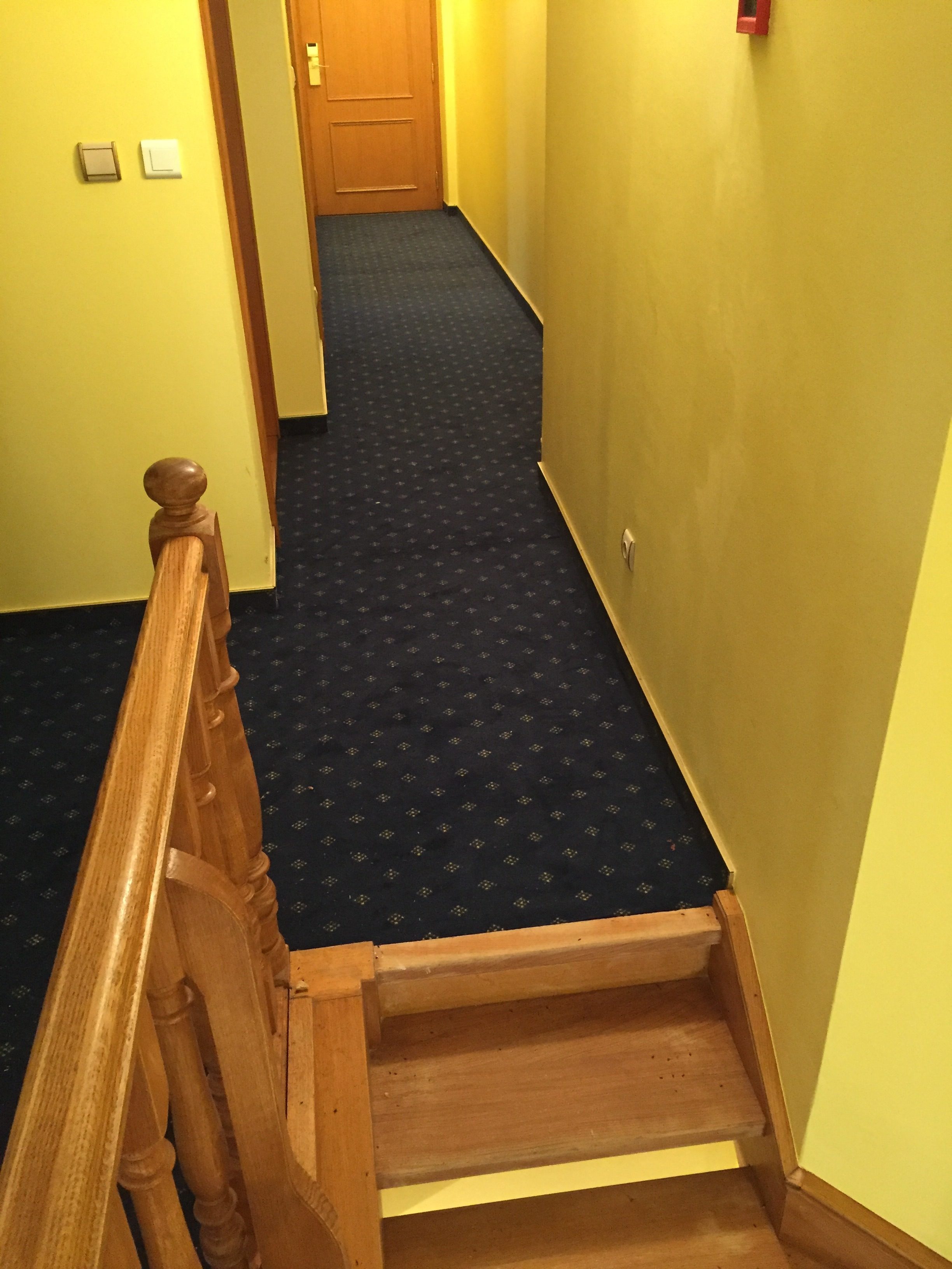 cage d'escalier avec moquette bleue et dorée
